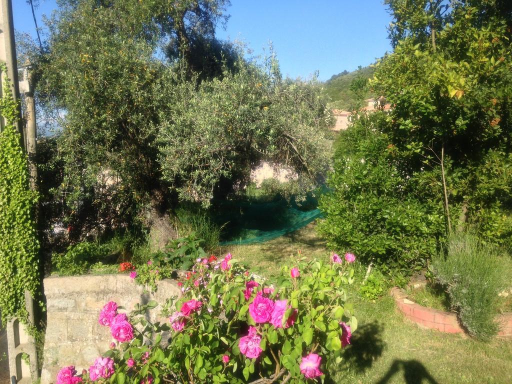 Hotel Les Calanques Piana  Szoba fotó